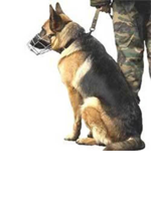 gallery/wp-content-uploads-2016-03-dd